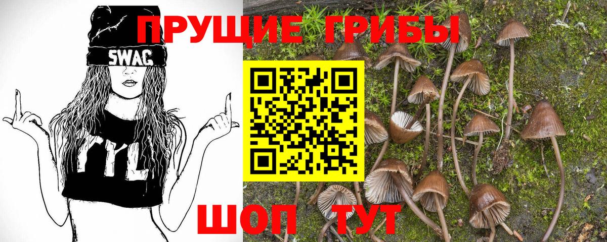 Усть-Лабинск  Псилоцибиновые грибы GOLDEN TEACHER  Вход с VPN 